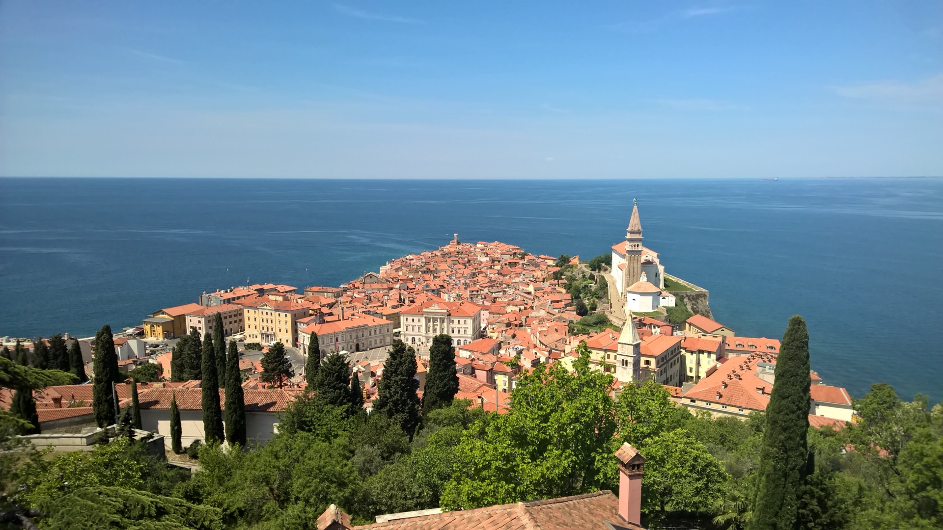 Road cycling on the Slovenian Adriatic coast near Piran and Portorož